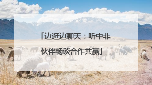 边逛边聊天：听中非伙伴畅谈合作共赢