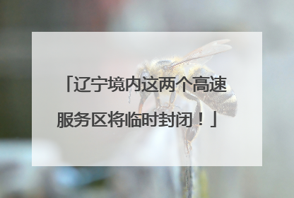 辽宁境内这两个高速服务区将临时封闭！