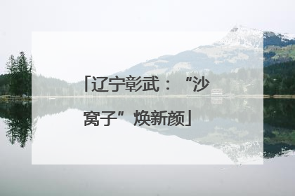 辽宁彰武：“沙窝子”焕新颜
