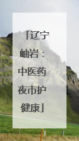 辽宁岫岩：中医药夜市护健康