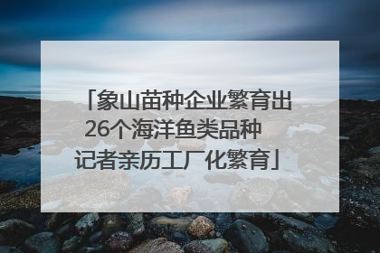 象山苗种企业繁育出26个海洋鱼类品种 记者亲历工厂化繁育