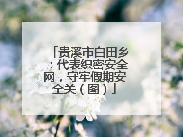 贵溪市白田乡：代表织密安全网，守牢假期安全关（图）