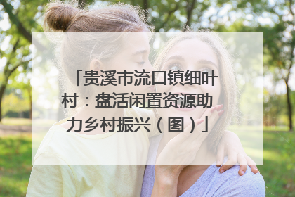 贵溪市流口镇细叶村：盘活闲置资源助力乡村振兴（图）