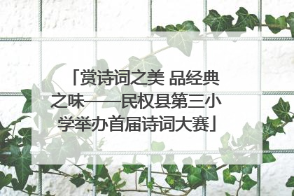 赏诗词之美 品经典之味——民权县第三小学举办首届诗词大赛