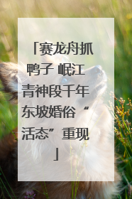 赛龙舟抓鸭子 岷江青神段千年东坡婚俗“活态”重现