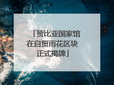 赞比亚国家馆在自贸雨花区块正式揭牌