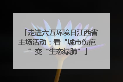 走进六五环境日江西省主场活动：看“城市伤疤”变“生态绿肺”