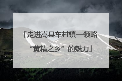 走进嵩县车村镇—领略“黄精之乡”的魅力