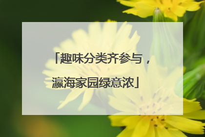 趣味分类齐参与，瀛海家园绿意浓