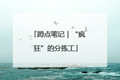 蹲点笔记｜“疯狂”的分拣工