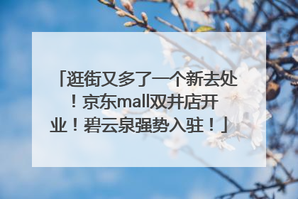 逛街又多了一个新去处！京东mall双井店开业！碧云泉强势入驻！