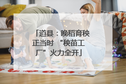道县：晚稻育秧正当时 “秧苗工厂”火力全开