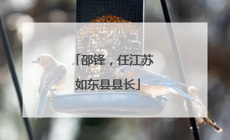 邵锋，任江苏如东县县长