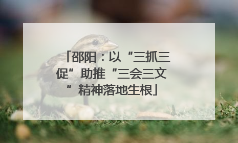 邵阳：以“三抓三促”助推“三会三文”精神落地生根