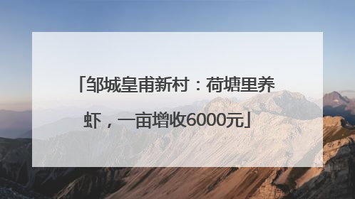 邹城皇甫新村:荷塘里养虾,一亩增收6000元