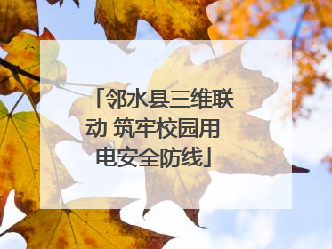 邻水县三维联动 筑牢校园用电安全防线