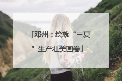 邓州：绘就“三夏”生产壮美画卷