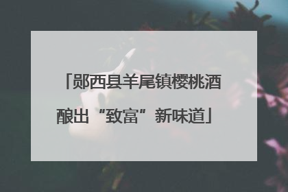 郧西县羊尾镇樱桃酒酿出“致富”新味道