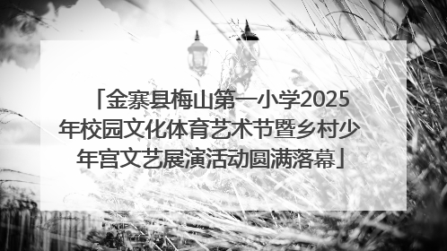 金寨县梅山第一小学2025年校园文化体育艺术节暨乡村少年宫文艺展演活动圆满落幕