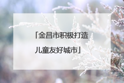 金昌市积极打造儿童友好城市