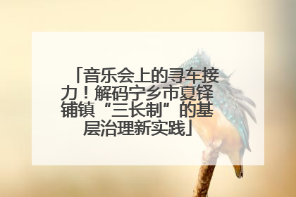 音乐会上的寻车接力！解码宁乡市夏铎铺镇“三长制”的基层治理新实践