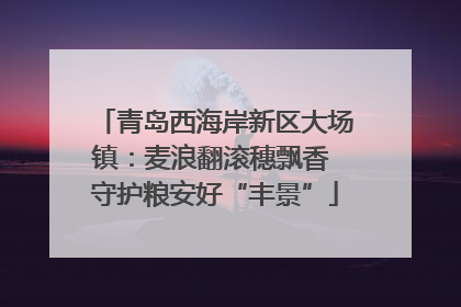 青岛西海岸新区大场镇：麦浪翻滚穗飘香 守护粮安好“丰景”
