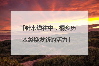 针来线往中，桐乡历本袋焕发新的活力