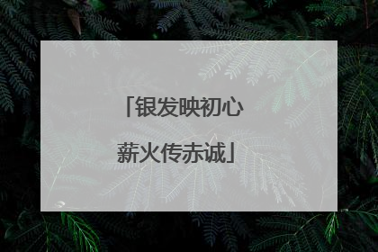 银发映初心 薪火传赤诚