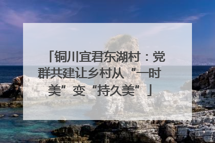 铜川宜君东湖村：党群共建让乡村从“一时美”变“持久美”