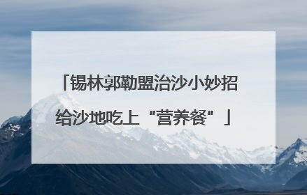 锡林郭勒盟治沙小妙招 给沙地吃上“营养餐”