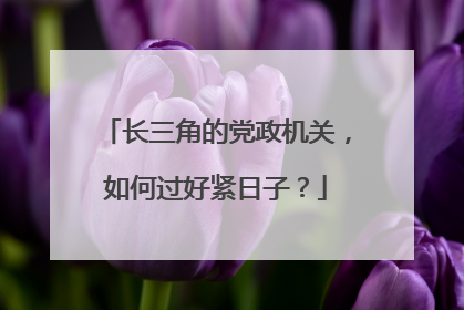 长三角的党政机关，如何过好紧日子？