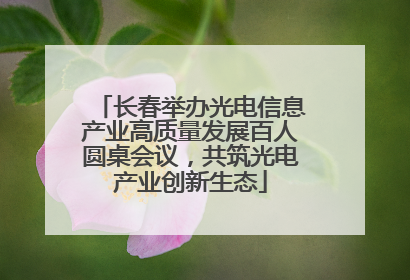 长春举办光电信息产业高质量发展百人圆桌会议，共筑光电产业创新生态