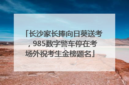 长沙家长捧向日葵送考，985数字警车停在考场外祝考生金榜题名