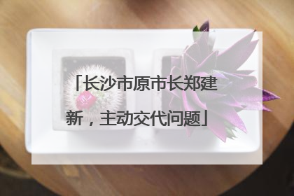 长沙市原市长郑建新，主动交代问题