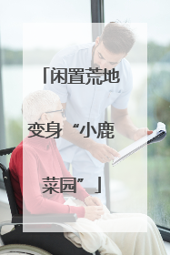 闲置荒地变身“小鹿菜园”