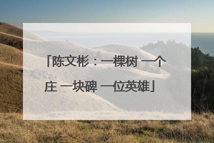 陈文彬：一棵树 一个庄 一块碑 一位英雄
