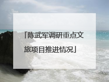 陈武军调研重点文旅项目推进情况