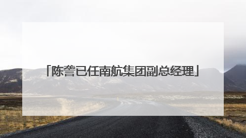 陈詟已任南航集团副总经理