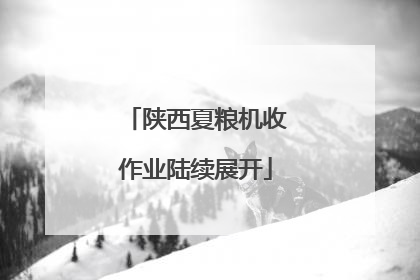 陕西夏粮机收作业陆续展开
