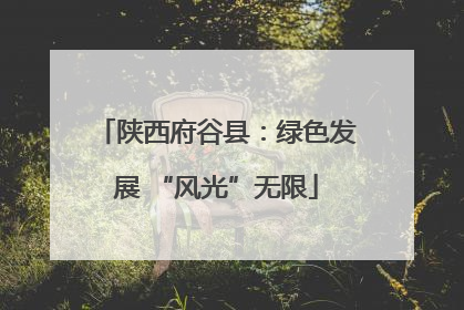 陕西府谷县：绿色发展 “风光”无限