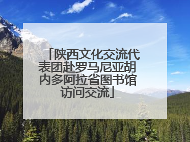 陕西文化交流代表团赴罗马尼亚胡内多阿拉省图书馆访问交流
