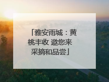 雅安雨城：黄桃丰收 邀您来采摘和品尝