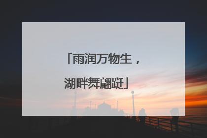 雨润万物生，湖畔舞翩跹