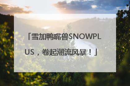 雪加鸭嘴兽SNOWPLUS，卷起潮流风暴！