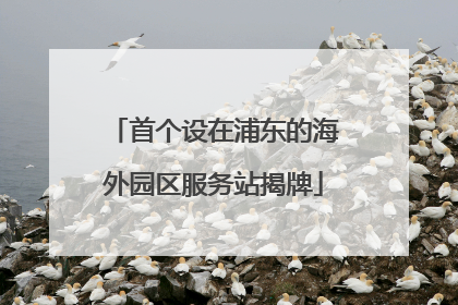首个设在浦东的海外园区服务站揭牌