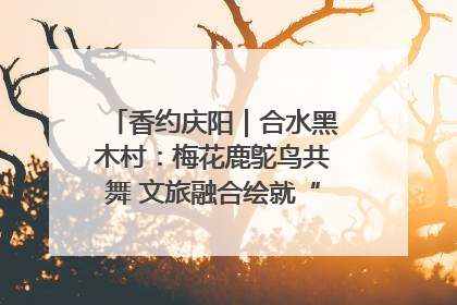 香约庆阳｜合水黑木村：梅花鹿鸵鸟共舞 文旅融合绘就“诗与远方”