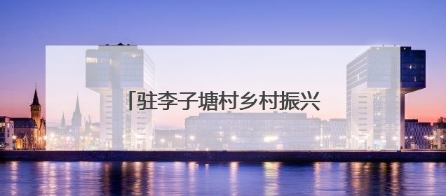 驻李子塘村乡村振兴工作队：扎根热土践初心 绘就振兴新画卷