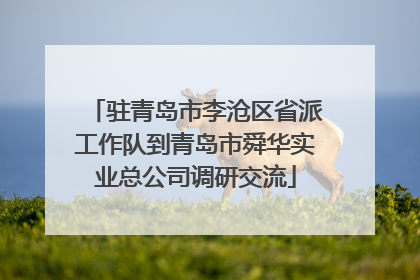 驻青岛市李沧区省派工作队到青岛市舜华实业总公司调研交流