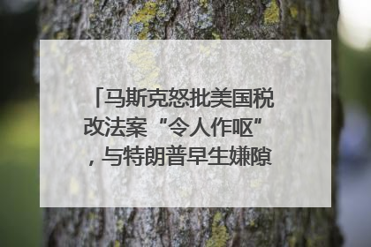 马斯克怒批美国税改法案“令人作呕”，与特朗普早生嫌隙？｜国际识局