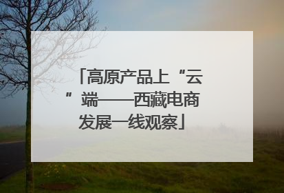 高原产品上“云”端——西藏电商发展一线观察